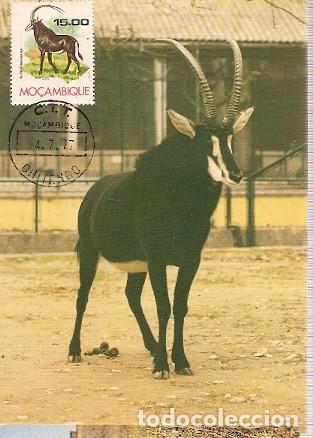 Sellos: Mozambique & Maxi, Palanca, Palapala Hippotragus Niger, Zoo de Lisboa, Chitendo 1977 (16)