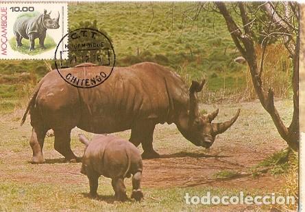 Sellos: Mozambique & Maxi, Fauna, Rinoceronte, Rhinocerontidae, Chitengo 1976 (24)