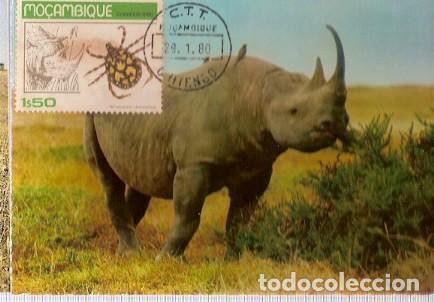 Briefmarken: Mozambique & Maxi, Fauna, Rinoceronte Negro, Diceros bicornis, Chitengo 1980 (396)