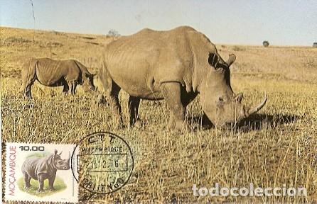 Briefmarken: Mozambique & Maxi, Fauna, Rhinocerontidae, White Rhino, Chitengo 1976 (60)