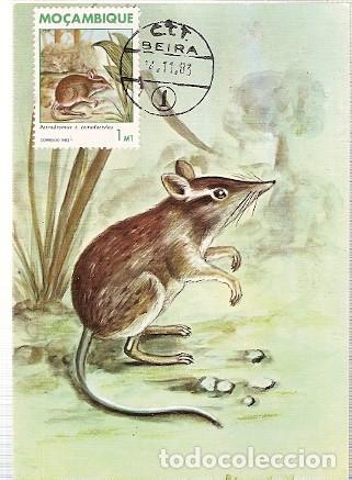 Briefmarken: Mozambique & Intero, Mam&iacute;feros de Mozambique, Petrodromus Tetradactylus, Poters, Beira 1983 (1846)