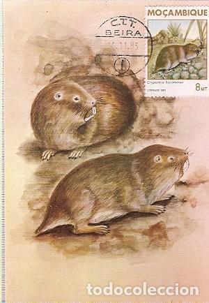 Briefmarken: Mozambique & Intero, Mam&iacute;feros de Mozambique, Roedor, Cryptomys Hottentotus, Gray, Beira 1983 (1864)