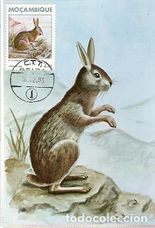 Briefmarken: Mozambique & Intero, Mam&iacute;feros, Liebre, Pronolagus Crassicaudatus, Beira 1983 (1832)