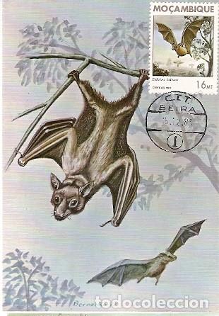 Briefmarken: Mozambique & Intero, Mam&iacute;feros de Mozambique, Bat, Eidolon Helvum, Kerr, Beira 1983 (1792)