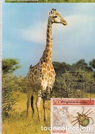 Briefmarken: Mozambique & Maxi, Animales Protegidos, Giraffa camelopardalis, Massingir 1983 (6167)