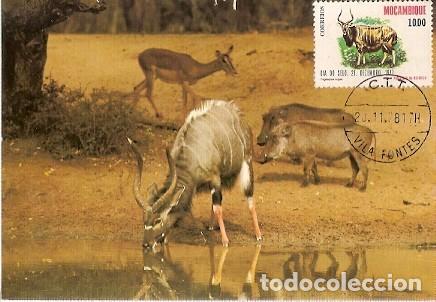 Briefmarken: Mozambique & Maxi, Animales protegidos, nhala, Tragelaphus angasii, Vila Fontes 1981 (1168)