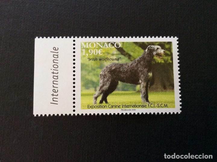 Sellos: MONACO A&Ntilde;O 2020 PERRO IRIS WOLFHOUND - Foto 1