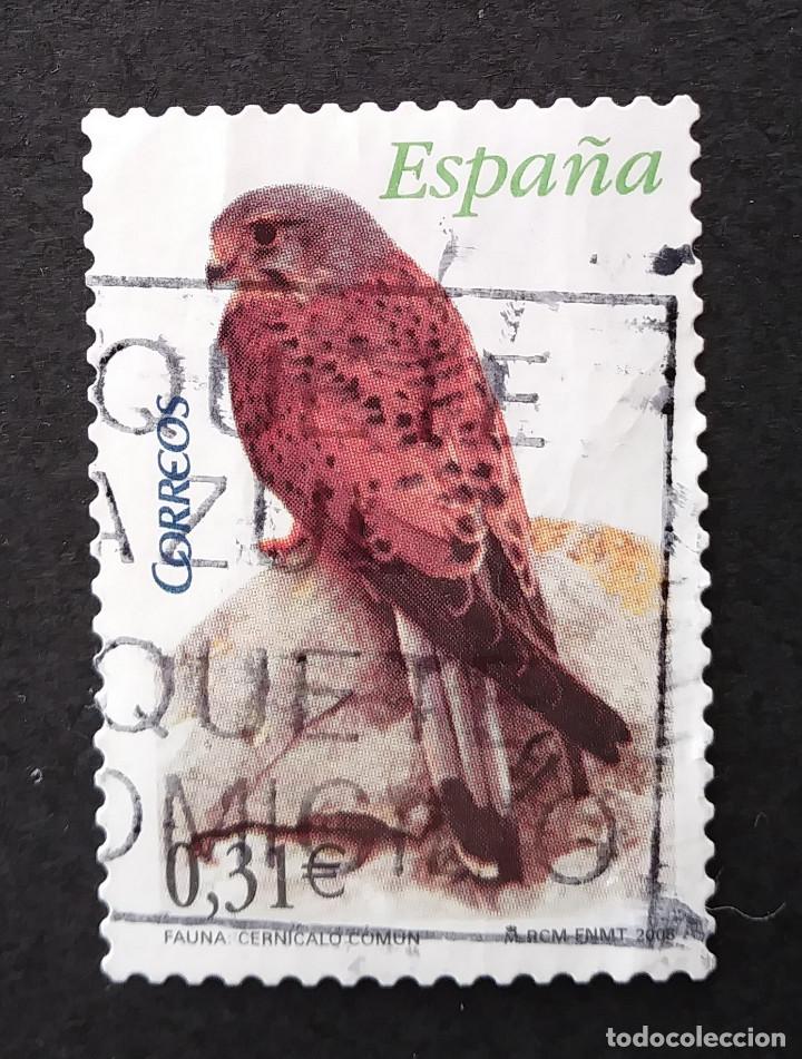 Sellos: 2008 Espa&ntilde;a Flora y fauna - Foto 1