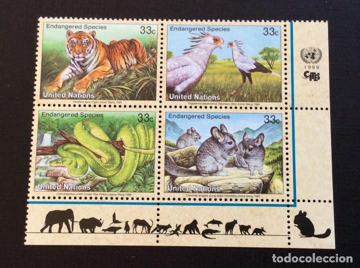 Sellos: NACIONES UNIDAS NUEVA YORK N&ordm; YVERT 803/6*** A&Ntilde;O 1999. FAUNA. ESPECIAS EN VIAS DE EXTINCION