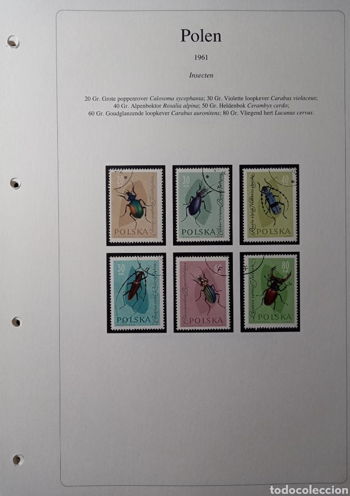 Briefmarken: Sellos de Flora y Fauna de Polonia montadas en Hojas Artesanas
