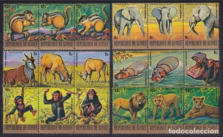 Sellos: F-EX21887 GUINEE GUINEE MNH 1977 GOLDEN WWF WILDLIFE MONKEY HYPPO ANTELOPE SQUIRREL