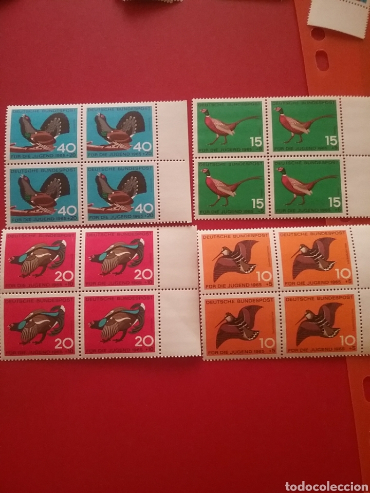 Briefmarken: Sello Alemania R. Federal nuevos/1965/Bq 4/projuventud/aves/pajaros/faisan/urugallo/perdiz/animales
