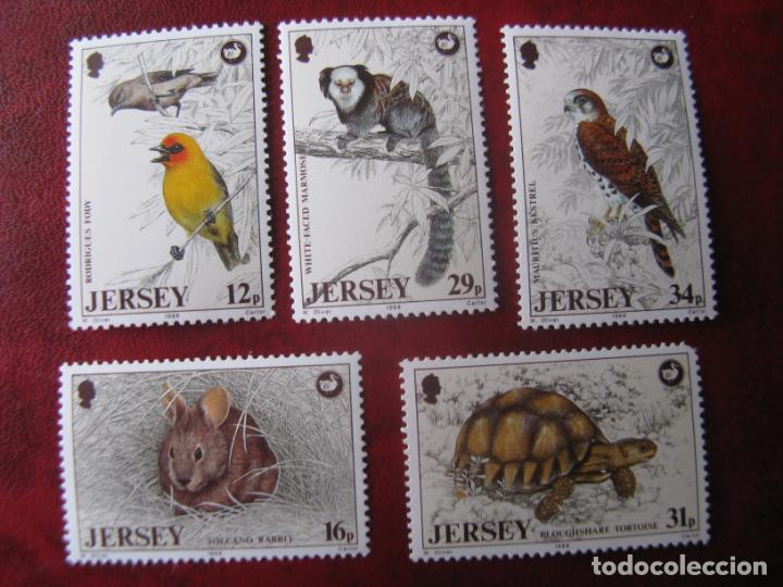 Sellos: jersey, 1988, proteccion de la vida salvaje, Yvert 436/40