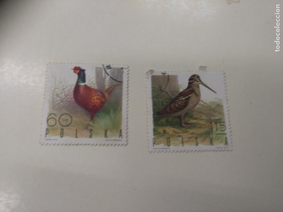 Briefmarken: LOTE DE 2 SELLOS, DE AVES, POLONIA, AGACHADIZA. STAMPS. CON CHARNELA