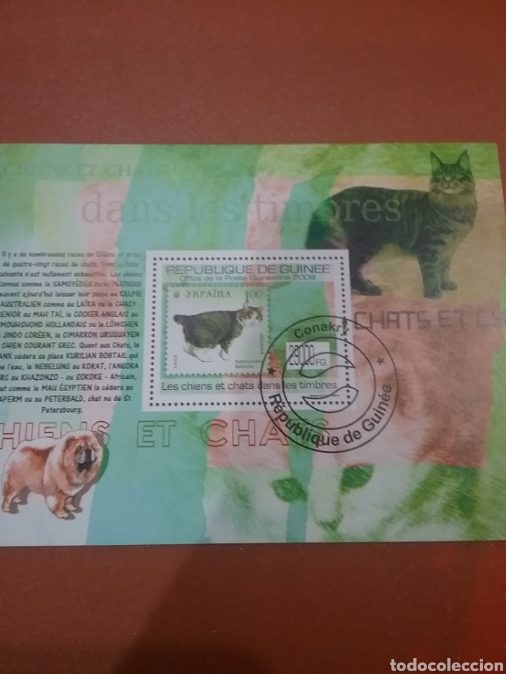 Selos: HB R. Guinea mtdo/2009/gatos/perros/sellos/animales/domesticos/fauna/felinos/mamiferos/razas/