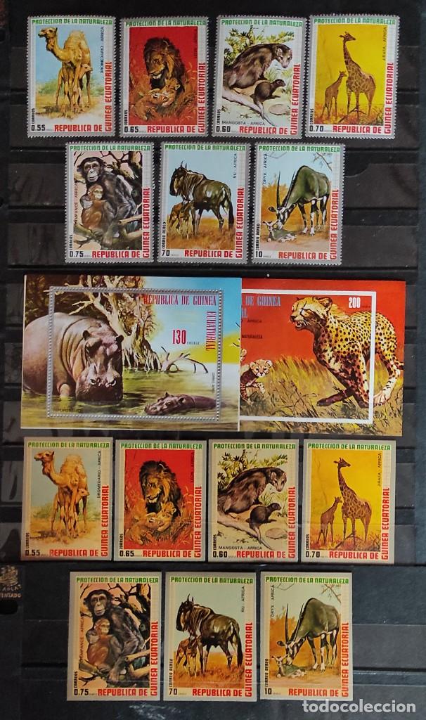 Sellos: G. ECUATORIAL-PROTECCI&Oacute;N DE LA NATURALEZA-ANIMALES DE AFRICA- MICHEL475/81 A 475/A48 S/SB145 Y S/S 1