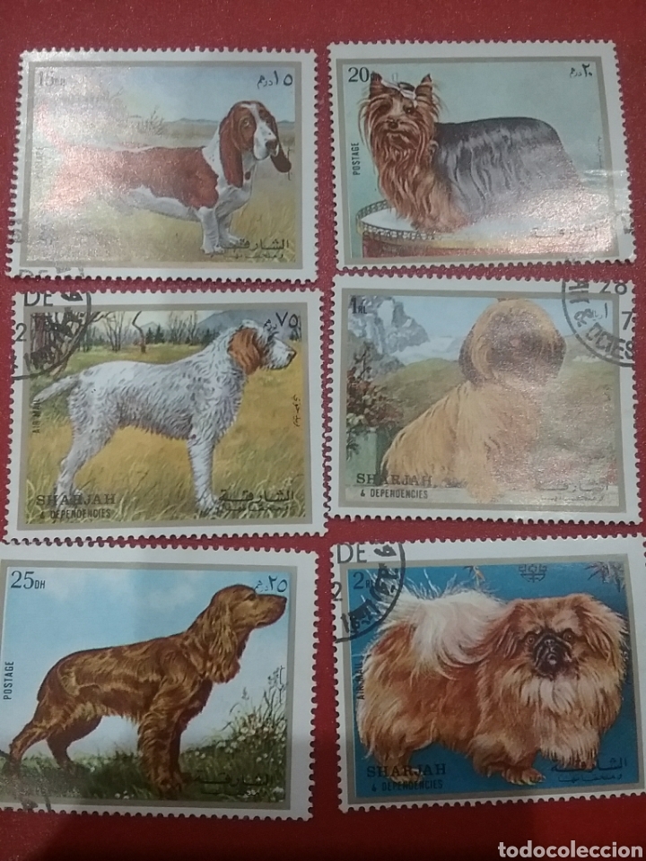 Stamps: Sello Sharjah (E.A.U) mtdos/1972/perros/animales/domesticos/mamiferos/canes/razas/fauna/flora/