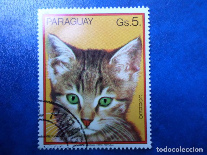 Briefmarken: paraguay, 1982, gatos, Yvert 1944
