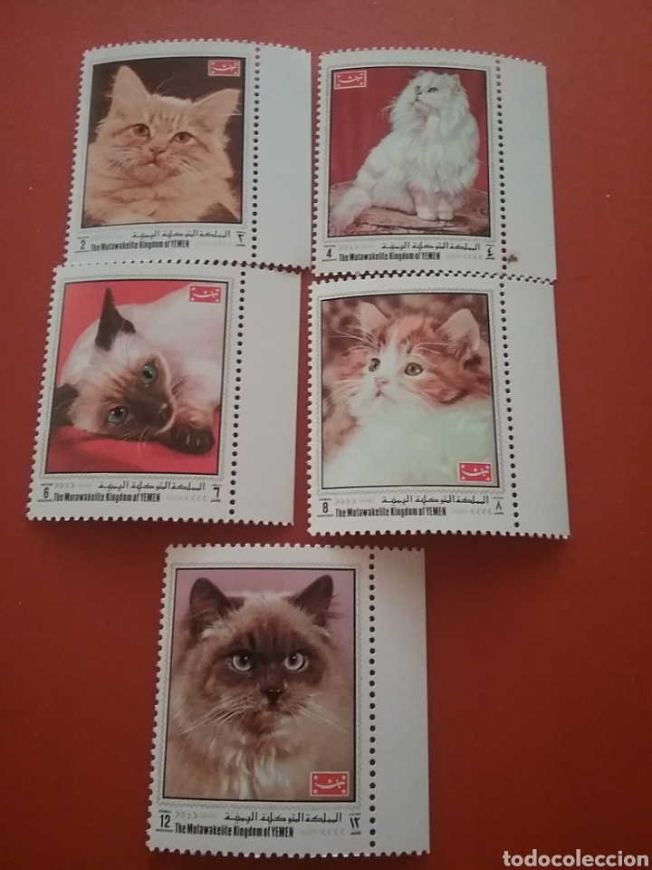 Briefmarken: Sello Yemen, Reino nuevo/1970/gatos/animales/domesticos/felinos/fauna/mamifero/persa/