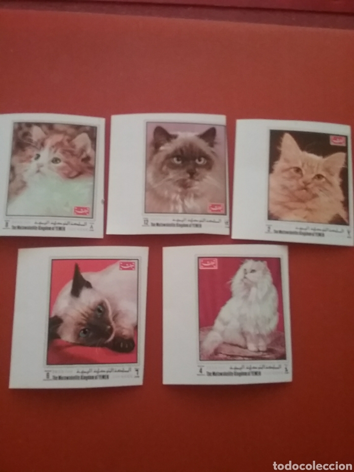 Briefmarken: Sello Yemen, Reino nuevo (sin dentar)/1970/gatos/animales/domesticos/felinos/fauna/mamifero/persa
