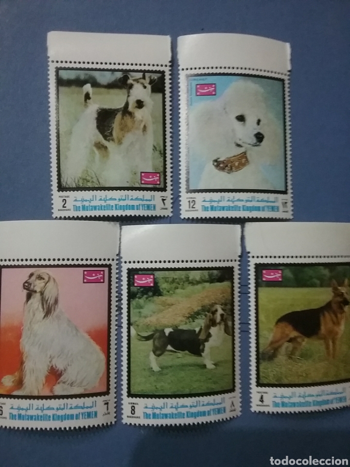 Briefmarken: Sello Yemen, Reino nuevo/1970/perros/canes/mamiferos/vaniche/lobo/afgano/animales/domesticos/fauna/