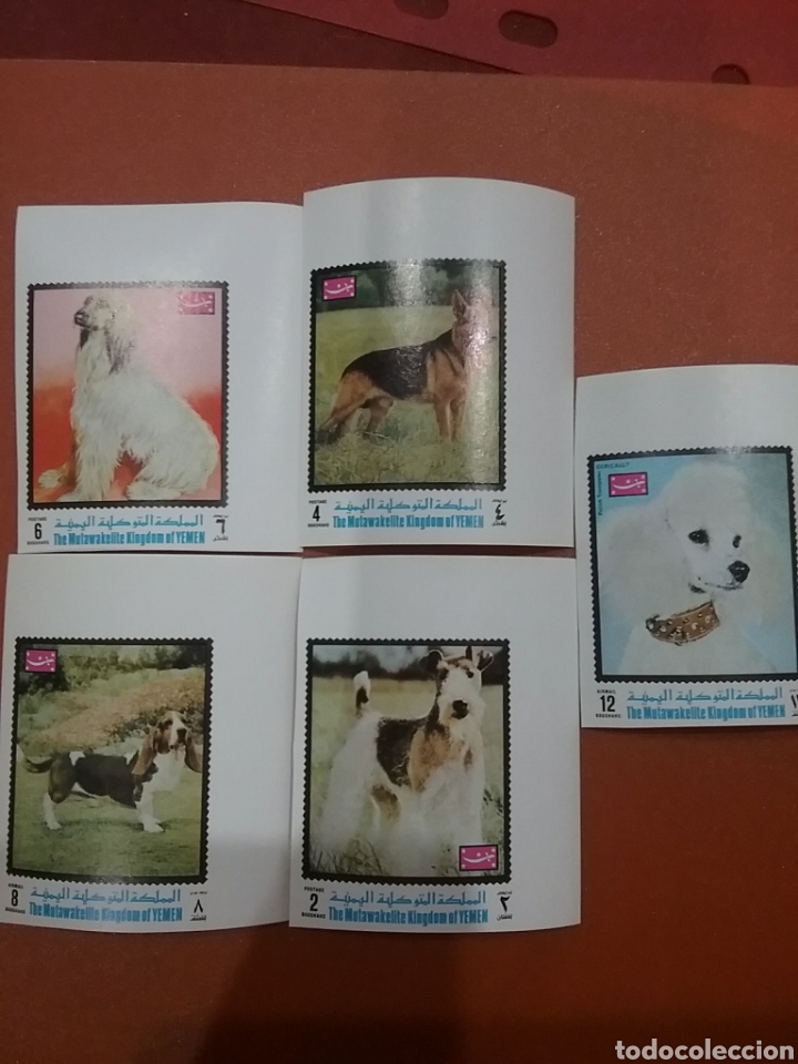 Briefmarken: Sello Yemen, Reino nuevo(sin dentar)/1970/perros/mamiferos/vaniche/lobo/animales/domesticos/fauna/