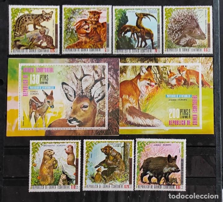 Timbres: G. ECUATORIAL PROTECCION DE LA NATURALEZA. MICHEL886/92-ANIMALES DE EUROPA