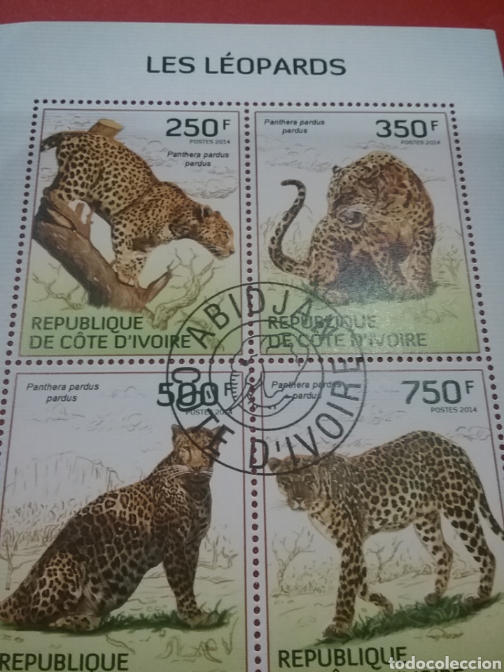 Timbres: HB Costa Marfil (Cote D,ivoire) mtdos/2014/fauna/animales/salvajes/leopardo/guepardo/felino/pantera/