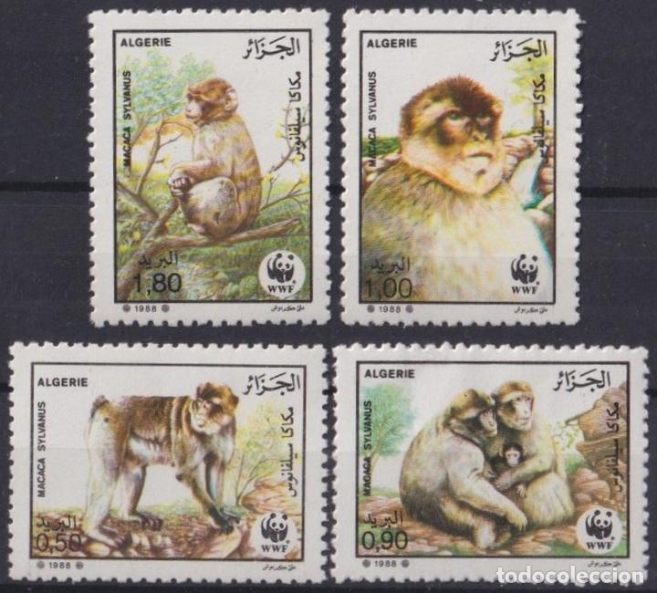 Timbres: F-EX25653 ALGERIE ARGELIA MNH 1988 WWF ENDANGERED WILDLIFE MONKEY MONOS.