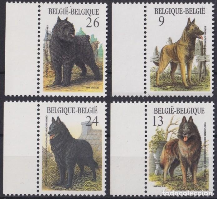 Briefmarken: F-EX25128 BELGICA BELGIUM BELGIE MNH 1986 WILDLIFE DOG PERROS SPECIAL.