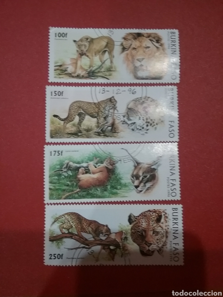 Briefmarken: Sello Burkina Faso (A. Volta) mtdo/1996/felinos/animales/salvajes/fauna/guepardo/leopardo/tigre/cara