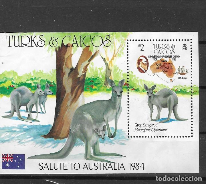 Briefmarken: TURKS Y CAIQUE N&ordm; HB 54 (0)