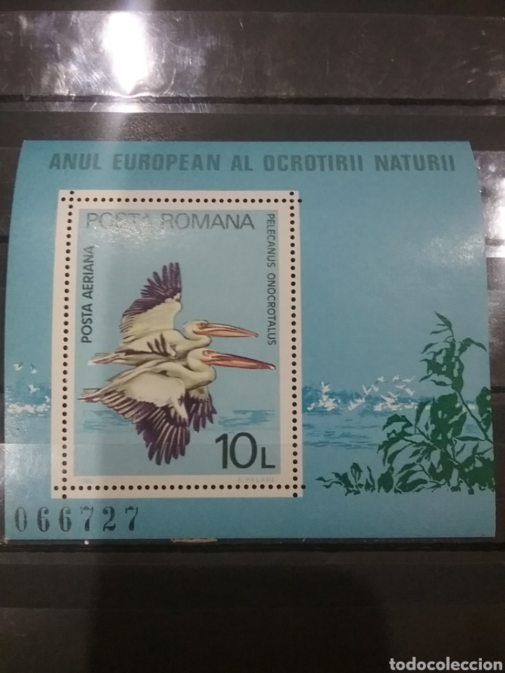 Sellos: HB Rumania (P. Romana) nuevo/1980/a&ntilde;o/europa/conservacion/naturaleza/aves/pelicano/animales/fauna/