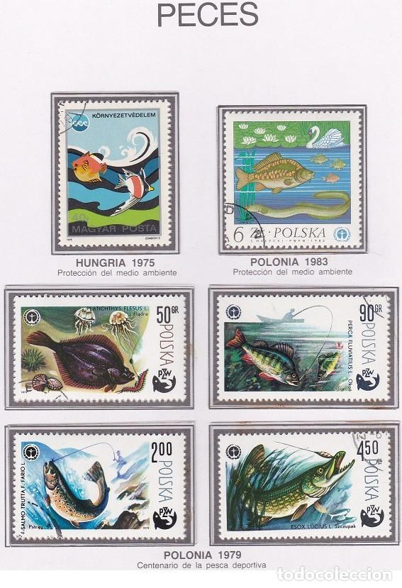 Selos: LOTE DE SELLOS DE ANIMALES - FAUNA - PECES - AHORRA EN EL ENVIO Y COMPRA MAS