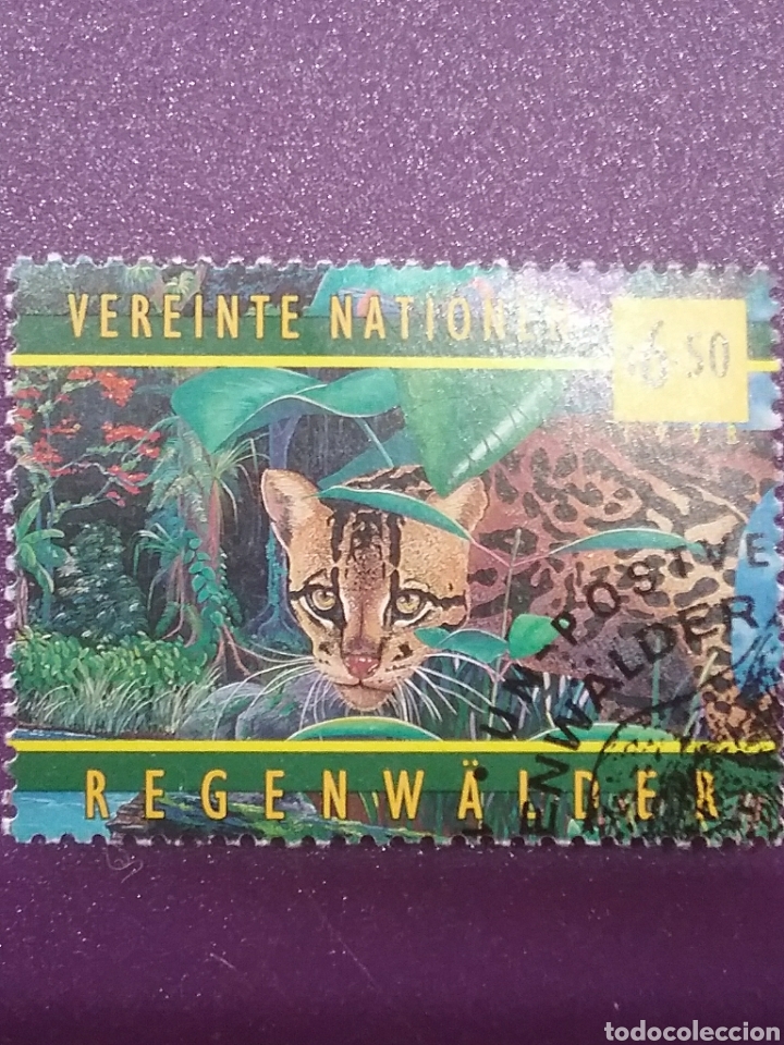Briefmarken: Sello Naciones Unidas (Viena) mtdo/1998/proteccion/selva/ocelote/felinos/fauna/naturaleza/bosque/dep