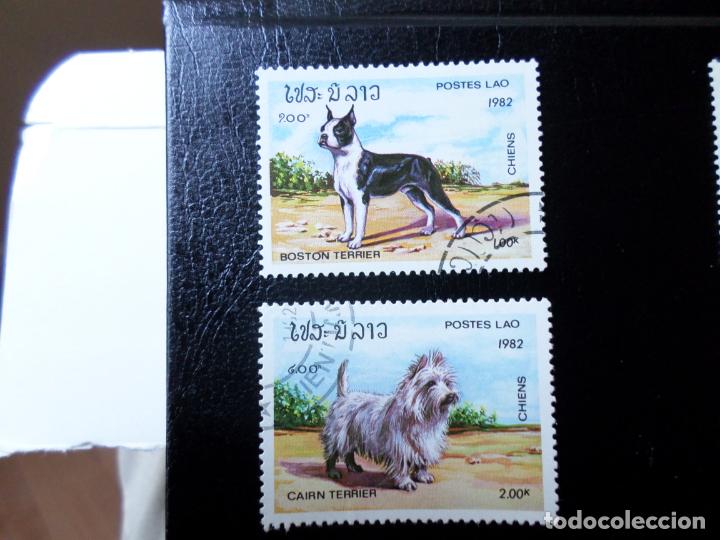 Sellos: *laos, 1982, perros - Foto 1