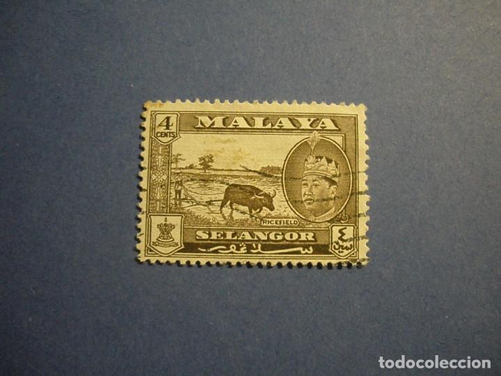 Timbres: MALASIA-MALAYA (SELANGOR) 1962 - SULTAN SALANHUDDIN ABDUL AZIZ - BUFALO, ARROZAL.