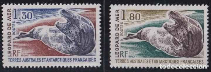 Sellos: F-EX27341 TAAF FRANCE POLAR 1980 MNH SEA LEOPARD MARINE ANTARCTIC.