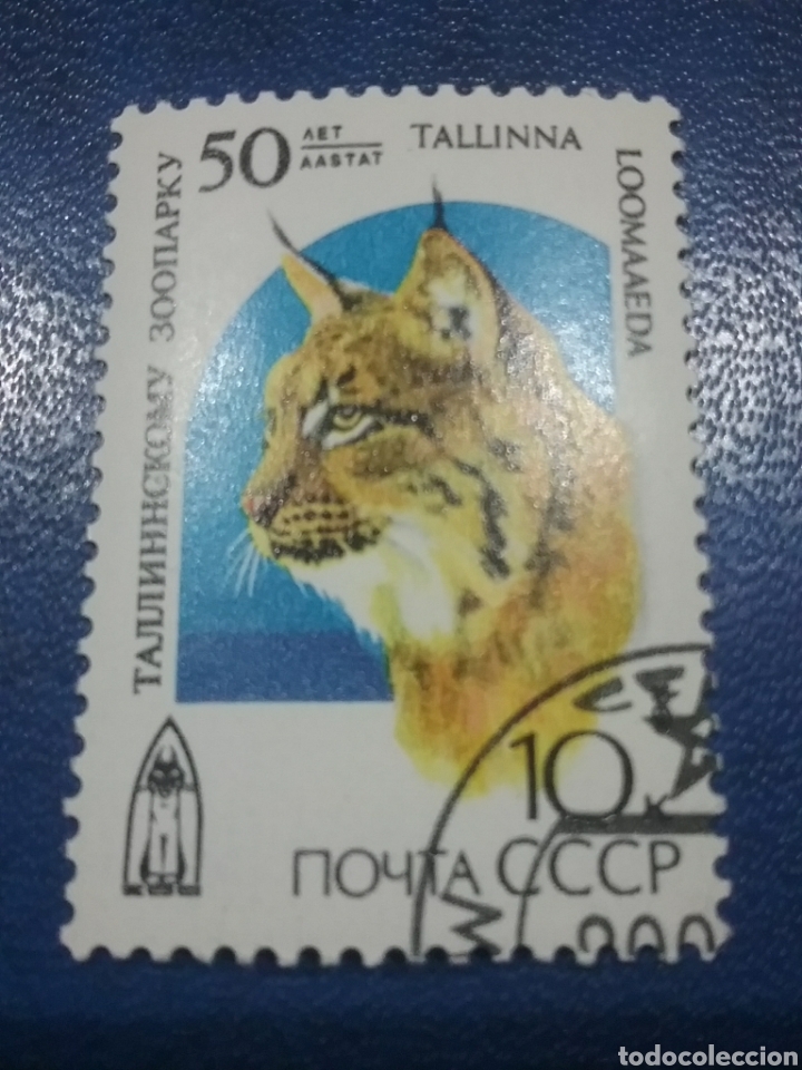 Timbres: Sello Rusia (URSS.CCCP) mtdo/1989/50Aniv/zoo/Tallin/lince/felino/mamifero/depredador/naturaleza/faun