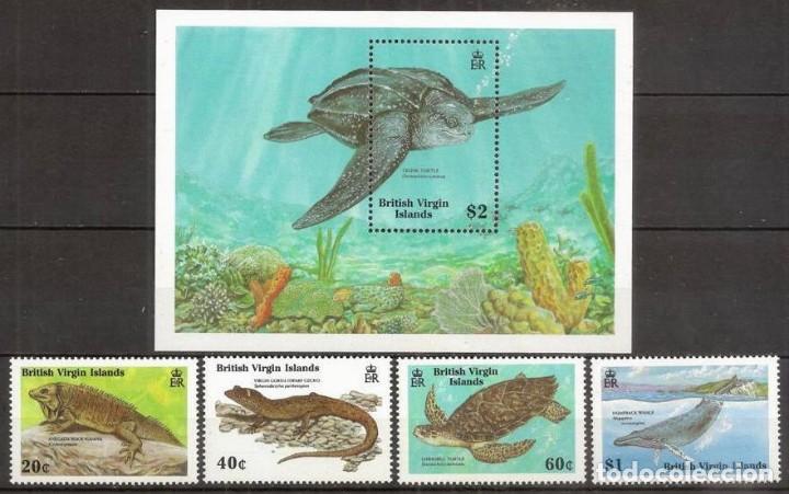 Selos: Islas Virgenes Britanicas ( British Virgin Islands). 1988. Fauna marina. 4 valores + HB ***