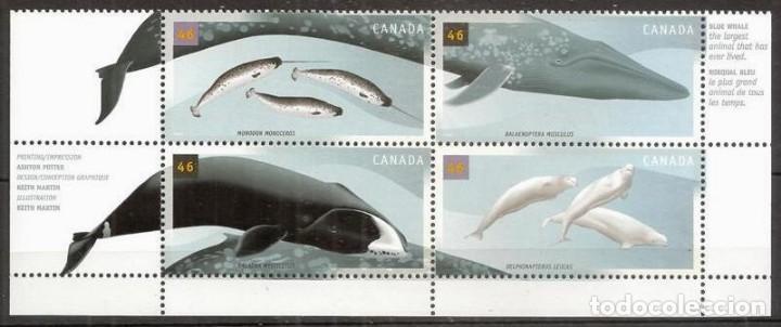 Sellos: CANADA. 2000. 4 val. ***. Ballenas - narval, beluga ... - Foto 1