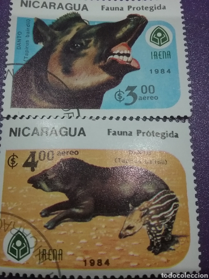 Timbres: Sello Nicaragua mtdos/1984/conservacion/fauna/salvaje/tapir/cerdo/jabali/animales/mamifero/jabato