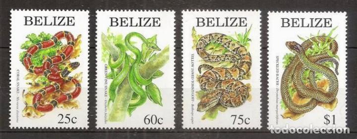 Selos: BELICE (BELIZE). 1997. Yvert 1079/1082 ***. Fauna, reptiles, serpientes.