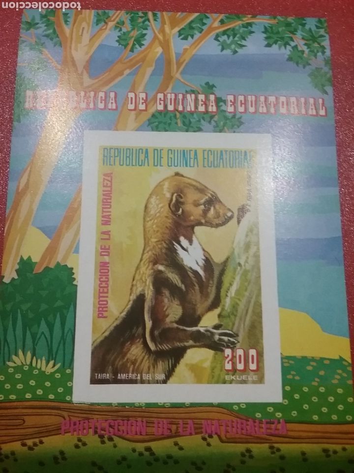 Selos: HB G. Ecuatorial nuevo/1977/fauna/america/sur/nutria/naturaleza/Tayra/Pteronura/mamifero/acuatico/fl