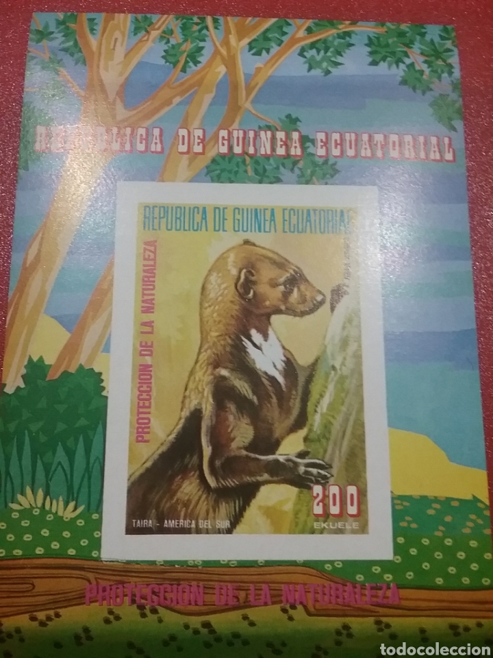 Selos: HB G. Ecuatorial nuevo/1977/fauna/america/sur/nutria/naturaleza/Tayra/Pteronura/mamifero/acuatico/fl