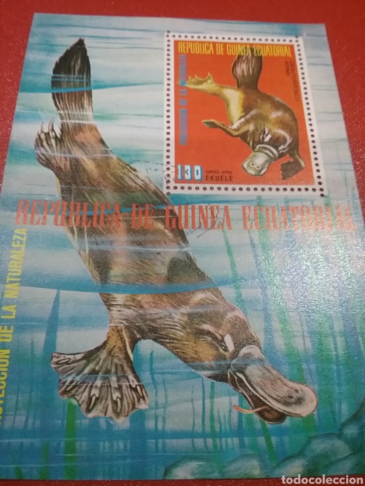 Selos: HB G. Ecuatorial mtda/1974/fauna/Australia/animales/salvajes/ornitorrinco/LEER DESCRIPCI&Oacute;N REGALOvs