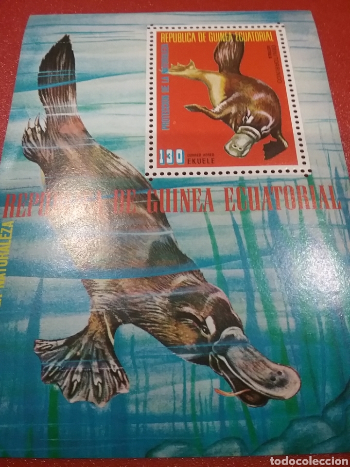 Selos: HB G. Ecuatorial nuevo/1974/fauna/Australia/animales/salvajes/ornitorrinco/LEER DESCRIPCI&Oacute;N REGALOvs