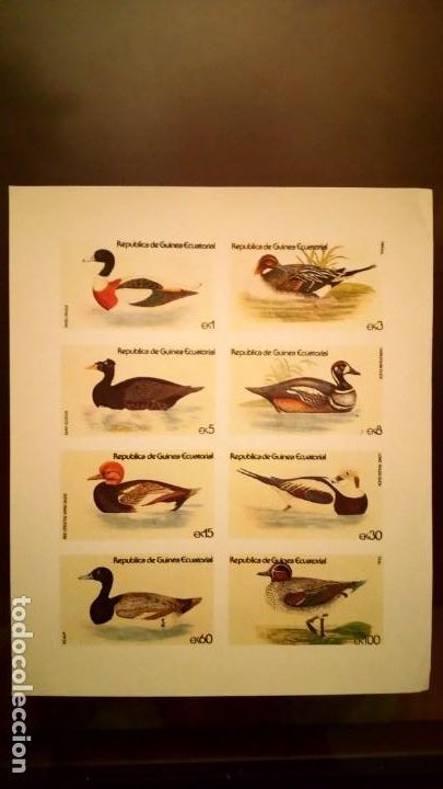 Sellos: FAUNA, PATOS, HB DE GUINEA ECUATORIAL - Foto 1