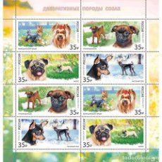 Sellos: ⚡ DISCOUNT RUSSIA 2019 DECORATIVE DOG BREEDS MNH - DOGS. Lote 313729868
