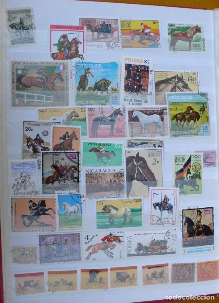Timbres: 106 SELLOS DE CABALLOS - VER IMAGENES